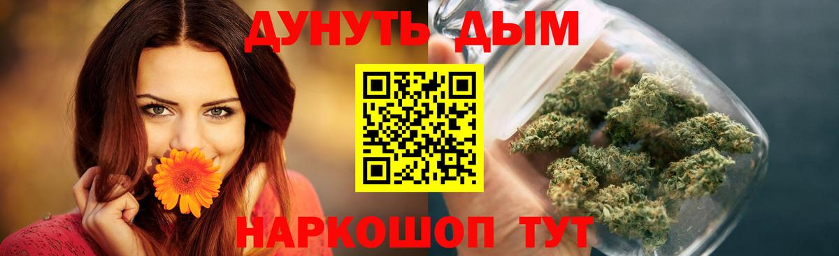 Бошки марихуана конопля Карасук